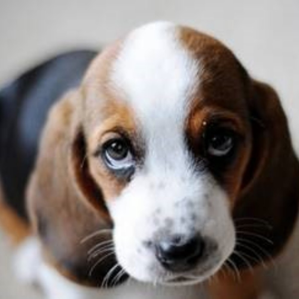 Meet your Posher, Sherry
